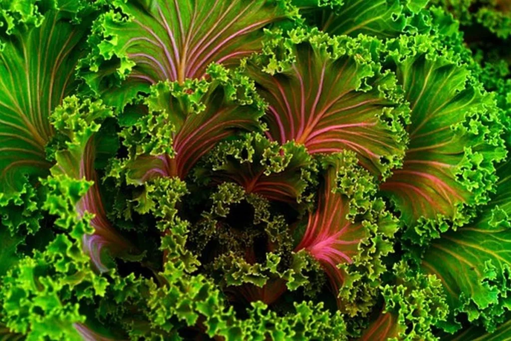 Computer Gains Sentience, Won’t Stop Saying It’s Vegan