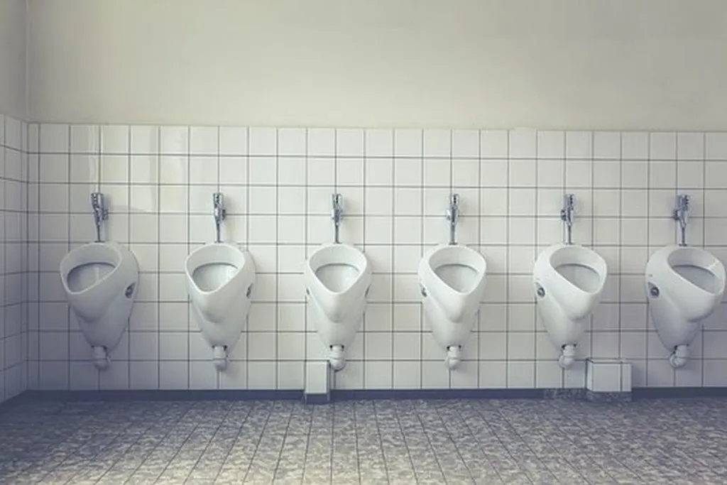 Used To Relieving Themselves Anywhere, Israelis Puzzled By Pay Toilets
