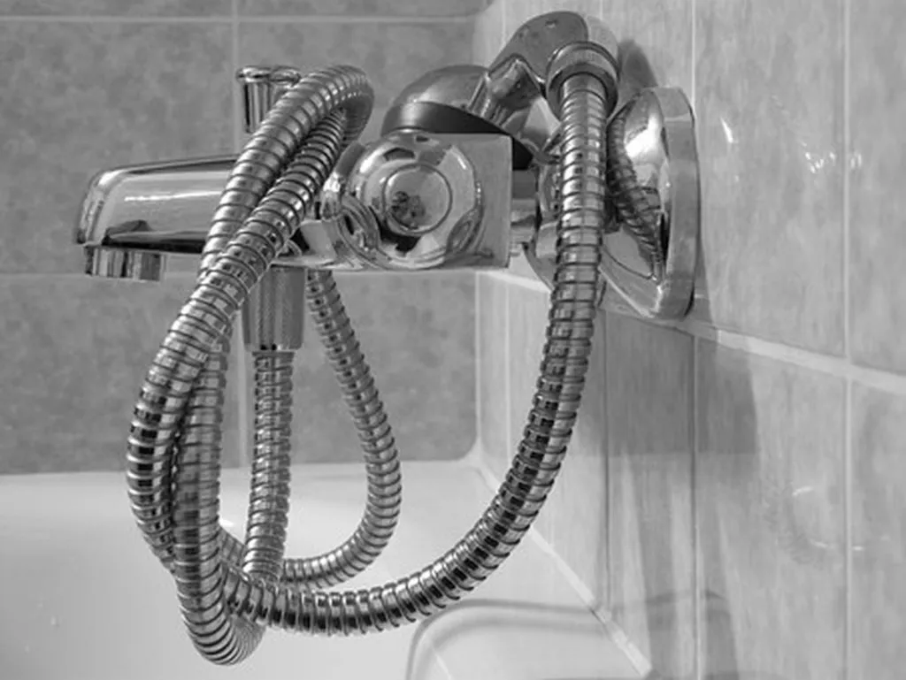 BDS Advocate Has Already Won Like 6 Arguments In His Head During Shower