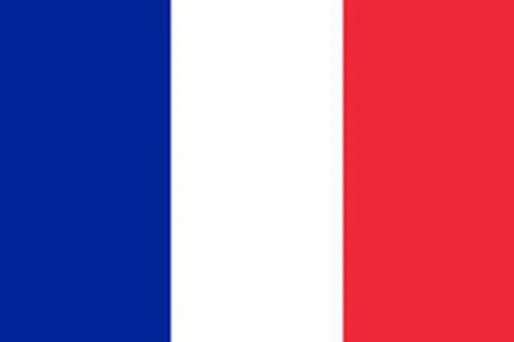 In Case of Involvement in Syria, France to Preemptively Surrender