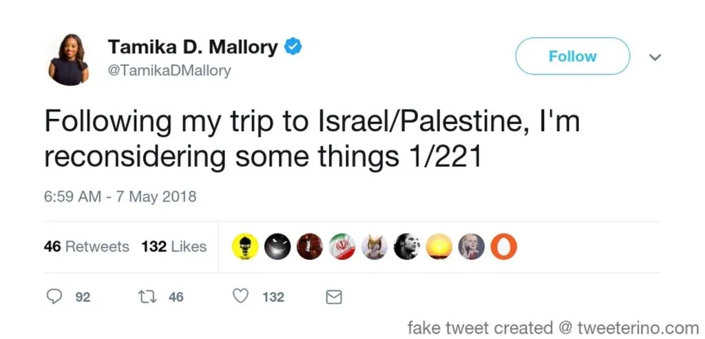 After Israel Trip, Tamika Mallory Realizes Palestinians Liars, Becomes Zionist