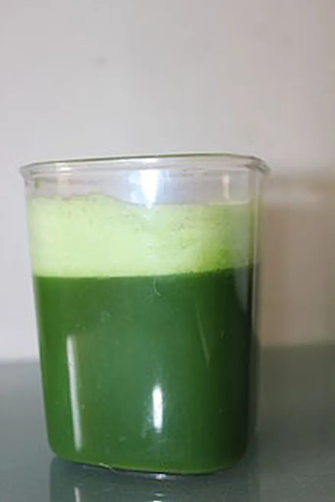 Palestinian Refugees Insist They Like Wheat Grass Juice, Lebanese Apartheid