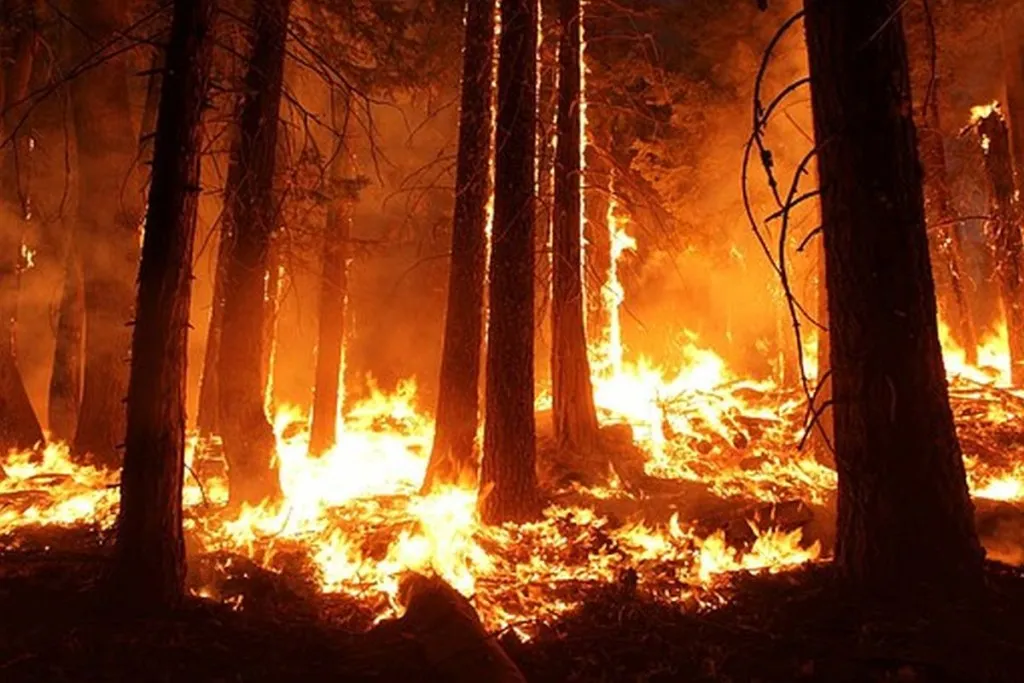 Gov’t To Prevent More Fires From Gaza Arson By Burning Entire South Of Israel