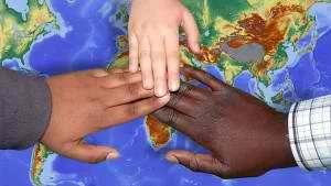 diversity