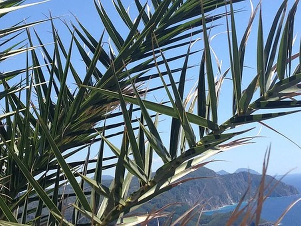 NGOs Cite Sukkah Disassembly As Evidence Israel Has No Problem Demolishing Settlements