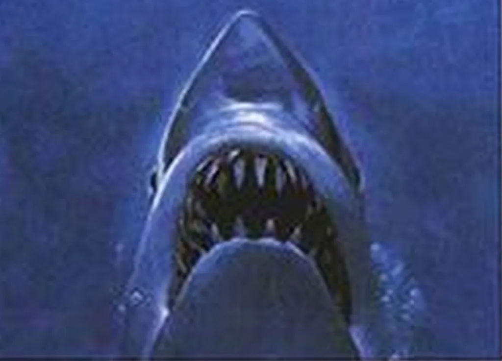 Typo Results In Palestinian Preacher Inciting Violence Against Jaws